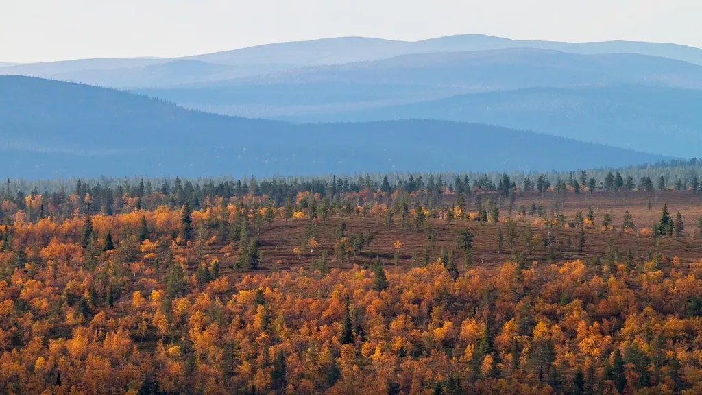 Finland Seasonal Work Permit Process March 2025: Application Process